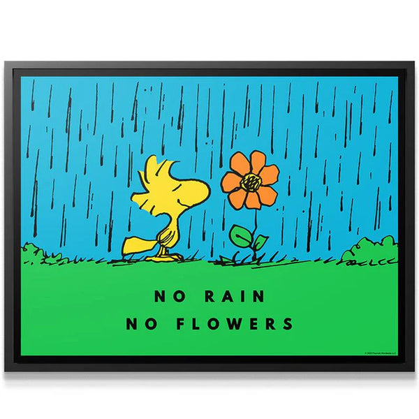 PEANUTS - No Rain No Flowers