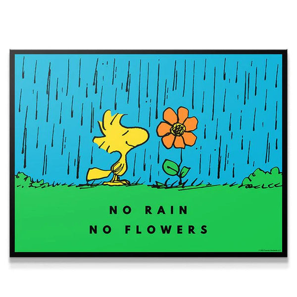 PEANUTS - No Rain No Flowers