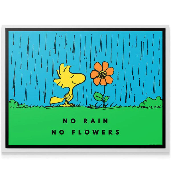 PEANUTS - No Rain No Flowers